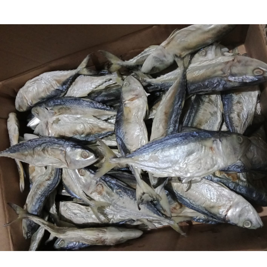 Jual Ikan Asin Peda Ukuran Sedang Gram Kg Shopee Indonesia