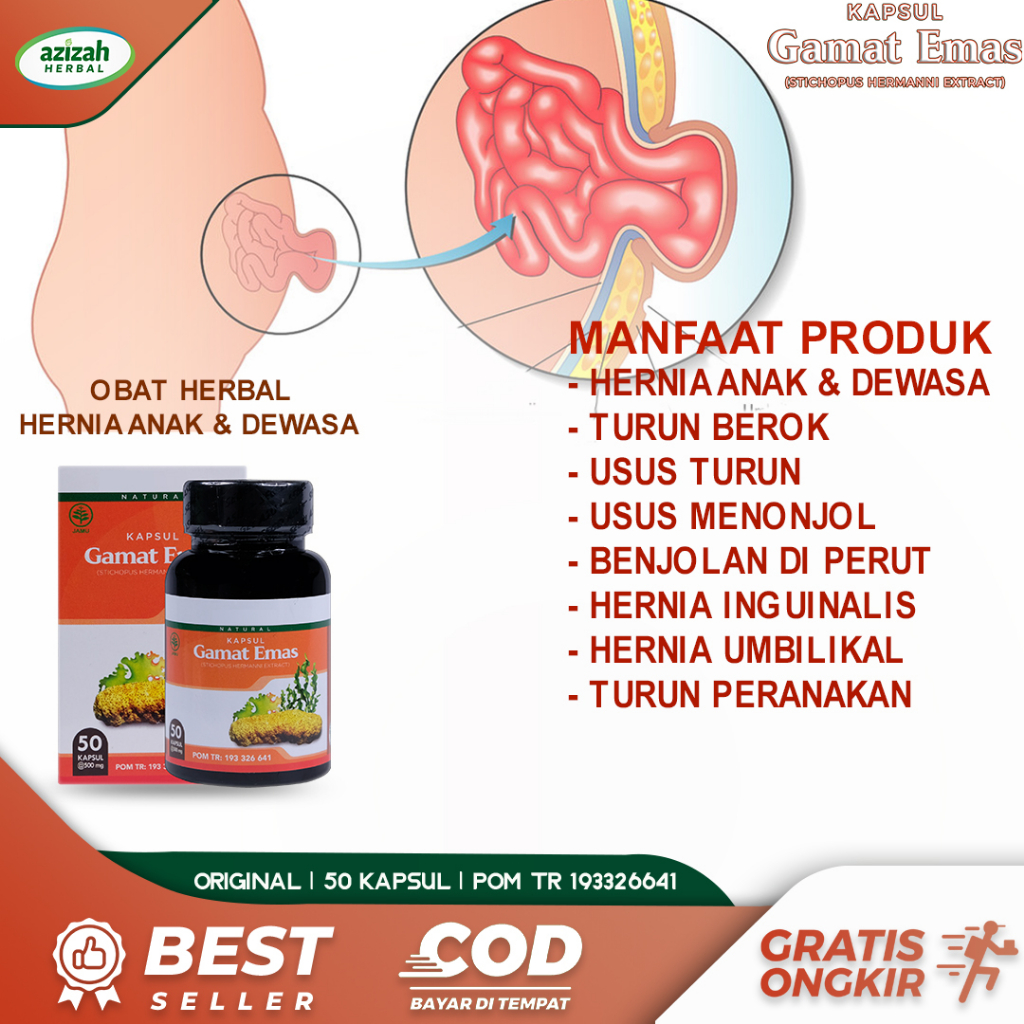 Jual Obat Hernia Turun Berok Hernia Inguinalis Umbilikal Femoralis Usus