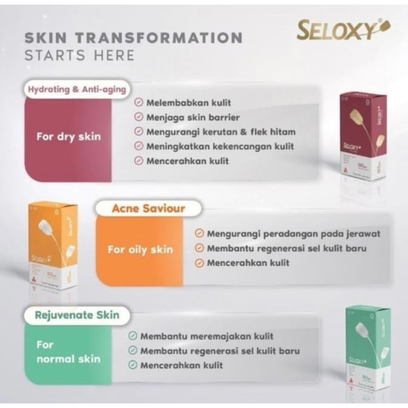 Jual Seloxy premium box 30 tablet ( antioksidant lengkap kesehatan ...