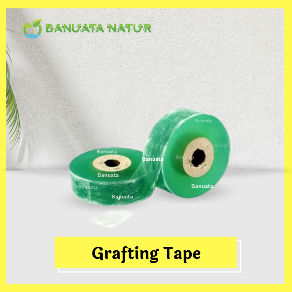 Jual Grafting Tape Plastik Okulasi Sambung Pucuk Enten 3 Cm