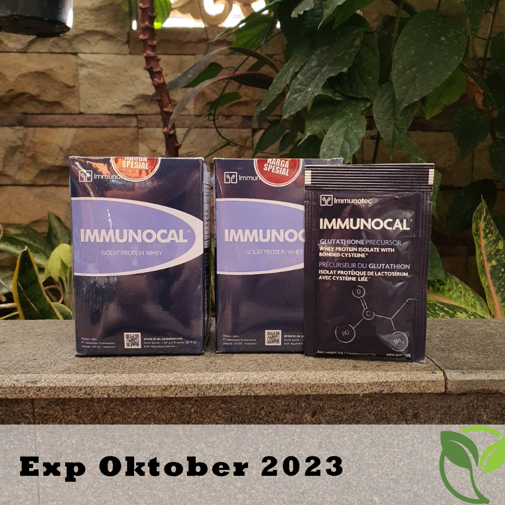 Jual IMMUNOCAL ISOLAT PROTEIN WHEY 1 kotak 10 sachet | Shopee Indonesia