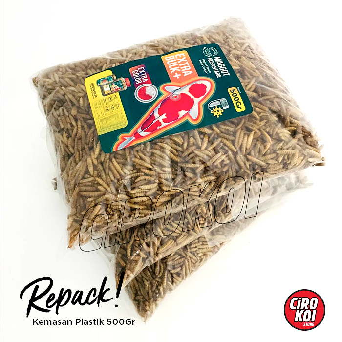 Jual [ REPACK 500GR ] MAGGOT KERING PREMIUM REPACK MAGGOT NUSANTARA ...