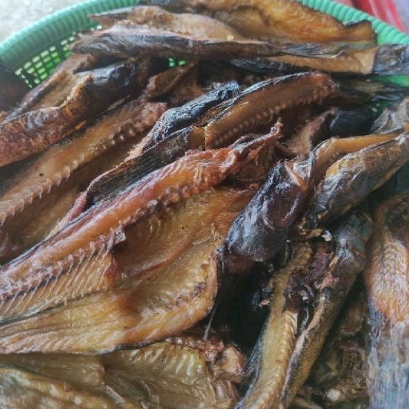 Jual Ikan Salai Betutu 250 Gr Shopee Indonesia