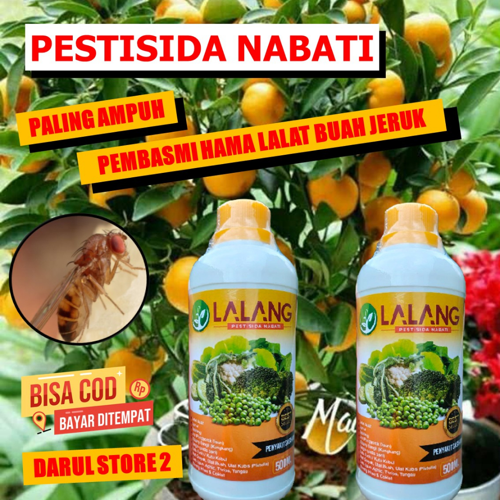 Jual Insektisida Hama Lalat Buah Jeruk Limau Lalang Pupuk Pengendali