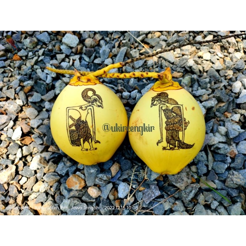 Jual Kelapa Gading Gambar wayang cengkir tujuh bulan Shopee Indonesia