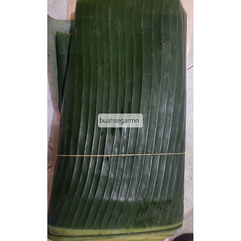 Jual Daun Pisang Shopee Indonesia