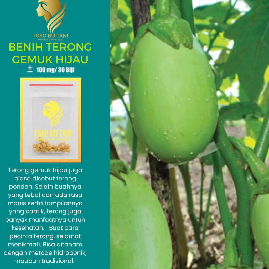 Jual Bibit Benih Sayur Sayuran Timun Cabai Cabe Kacang Oyong Pare Terong Tomat Wortel Jagung