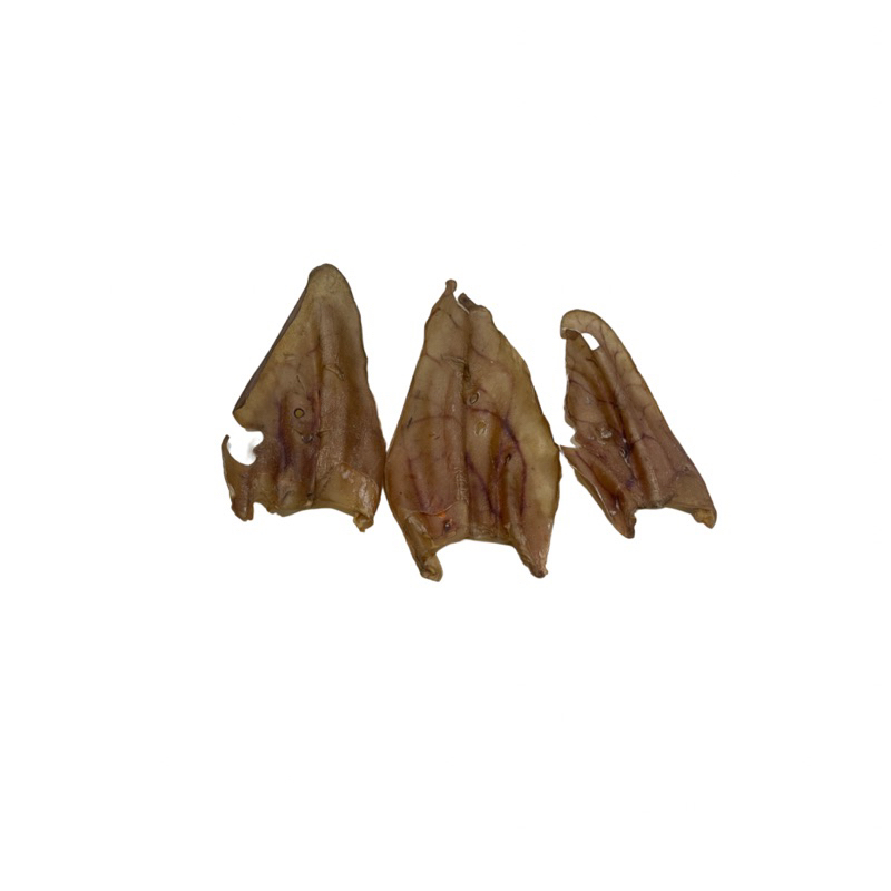 Jual Beef Ears 50gr Kuping Sapi Dehydrated Semi Furless Cow Ears Dog ...