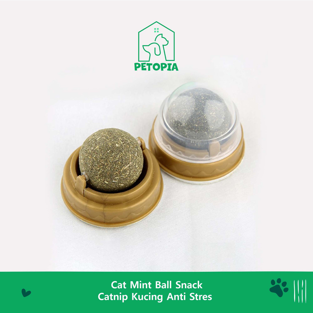 Jual Cat Mint Ball Snack Catnip Kucing Anti Stres | Shopee Indonesia