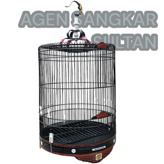 Politsiya bolimida jojalarni yalangoch tintuv qilish