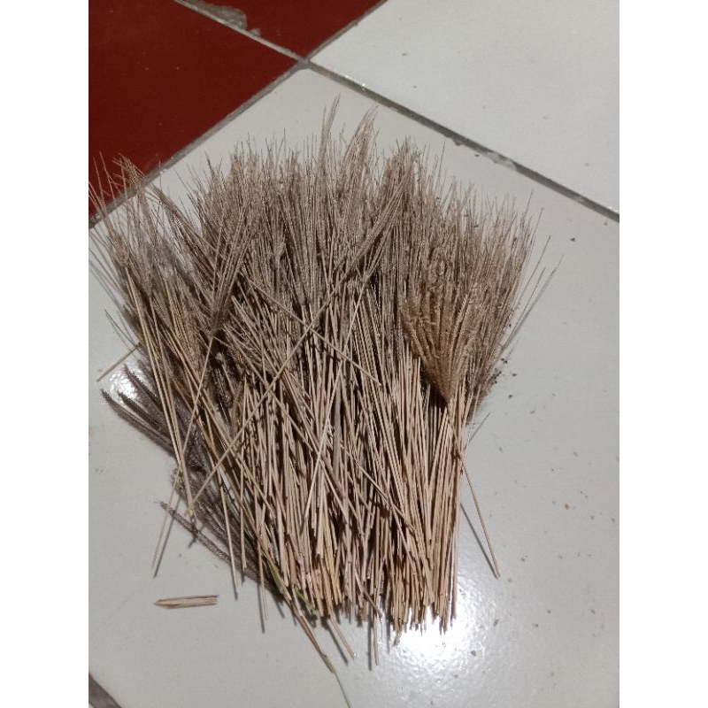 Jual bunga rumput kering bahan kilikan jangkrik dan kerajinan umum 1 ...