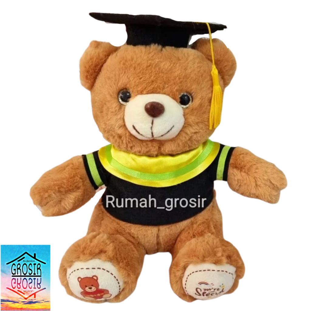 Jual Boneka Beruang Bear Graduation Toga Wisuda | Shopee Indonesia