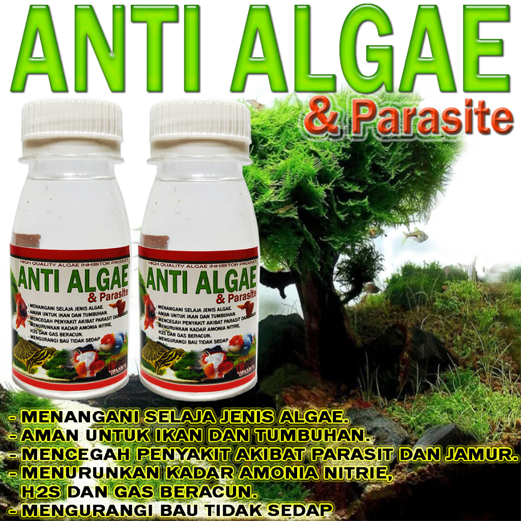 Jual Anti Algae Alga Parasit Lumut Jamur Pembersih Alga Penjernih Air