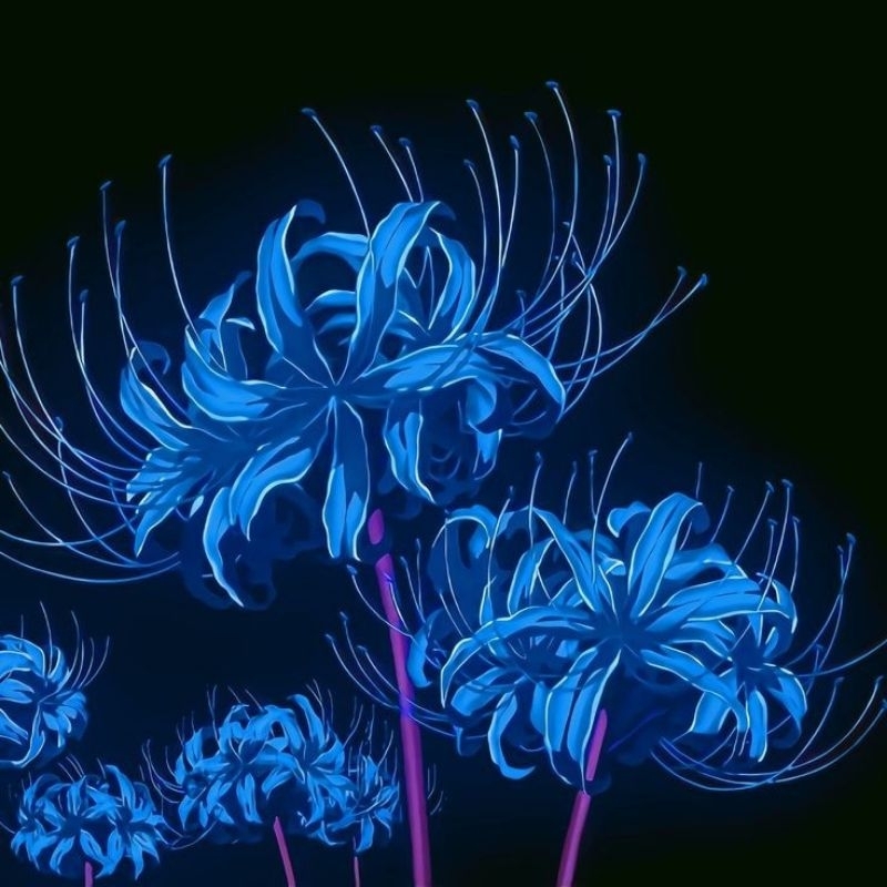 Jual [ICEWAY] Kimetsu no Yaiba Higabana Blue Spider Lily Artifisial ...