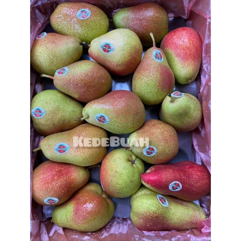 Jual Pear Forelle Africa Shopee Indonesia 