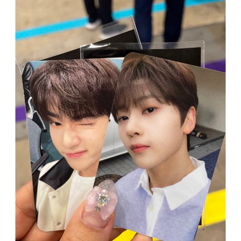 Jual photocard zhang hao matthew kcon bundle TAKE ALL ONLY | Shopee ...