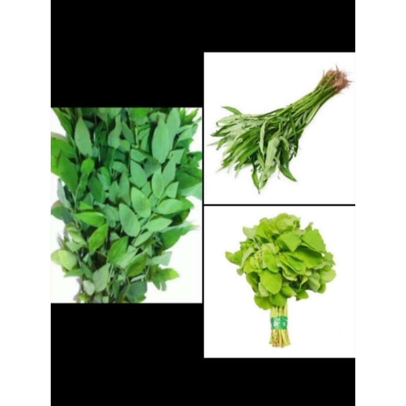 Jual Sayur Kangkung Bayam Katuk 1 Ikat Shopee Indonesia