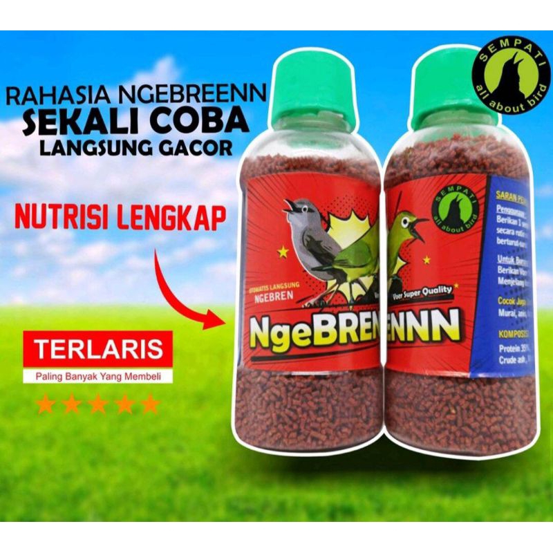 Superfit Gold Pakan Voer Pur Makanan Burung Murai Anis Kacer Ciblek