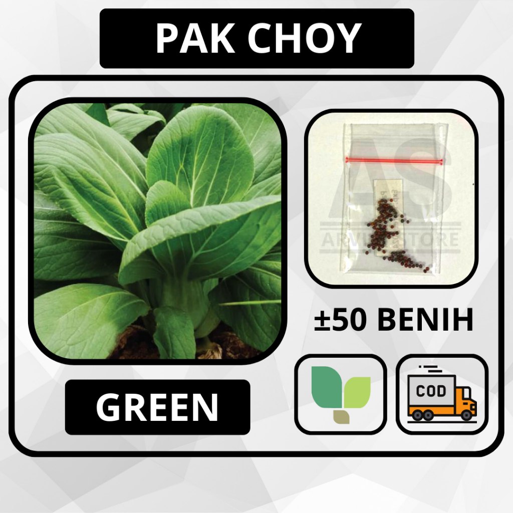 Jual Butir Benih Pak Choy Green Takii Seed Pakcoy Bibit Sayuran