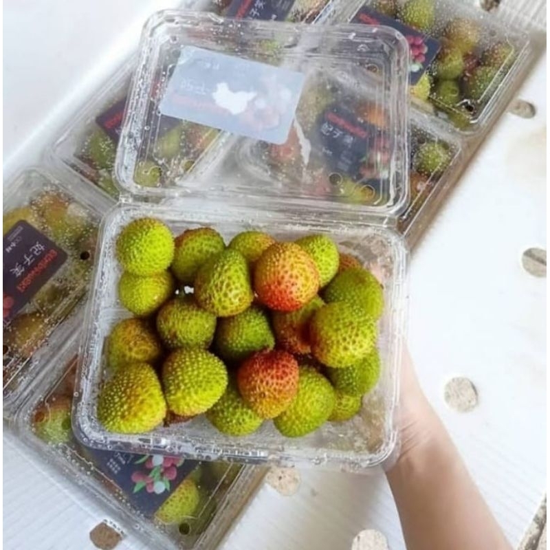 Jual Buah Leci Terlengkap & Harga Terbaru Juni 2026 | Shopee Indonesia