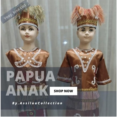 jual-baju-adat-anak-papua-satuan-laki-cewek-shopee-indonesia