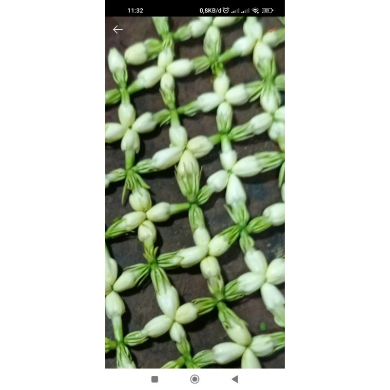 Jual ronce melati asli pengantin pesanan | Shopee Indonesia