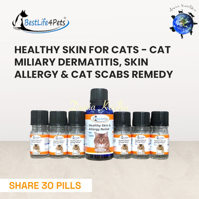 Jual Bestlife For Pets Healthy Skin & Allergy Relief For Cats Scabies