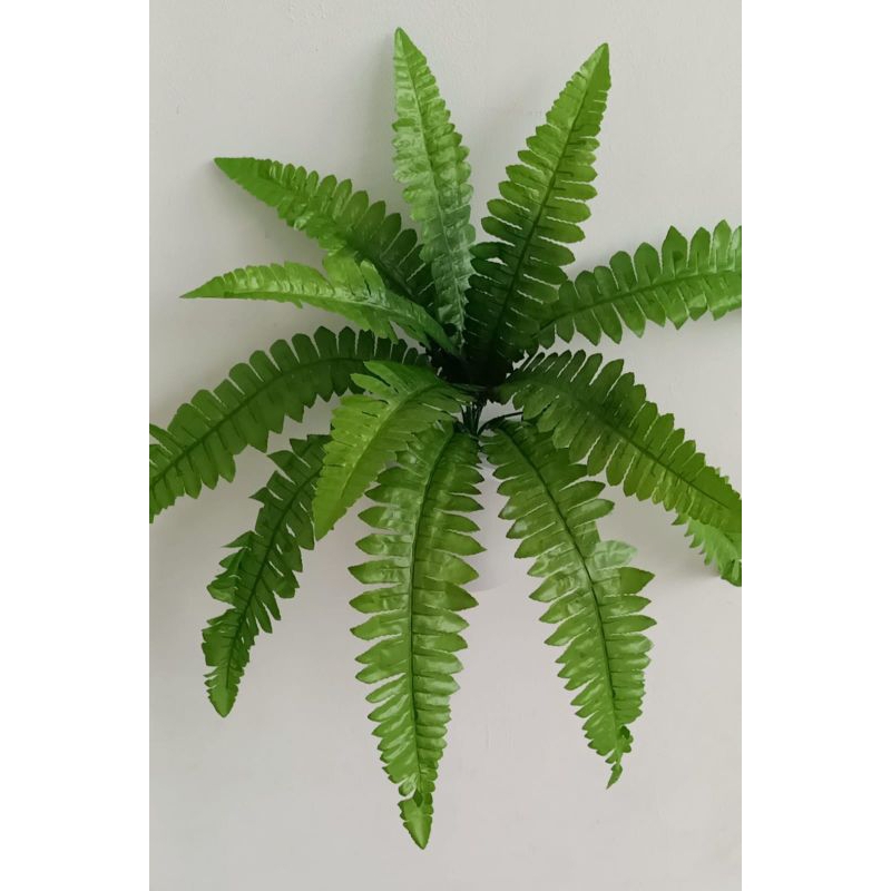 Jual POHON PAKIS BOSTON ARTIFICIAL 12 TANGKAI DENGAN POT DINDING OMBAK ...