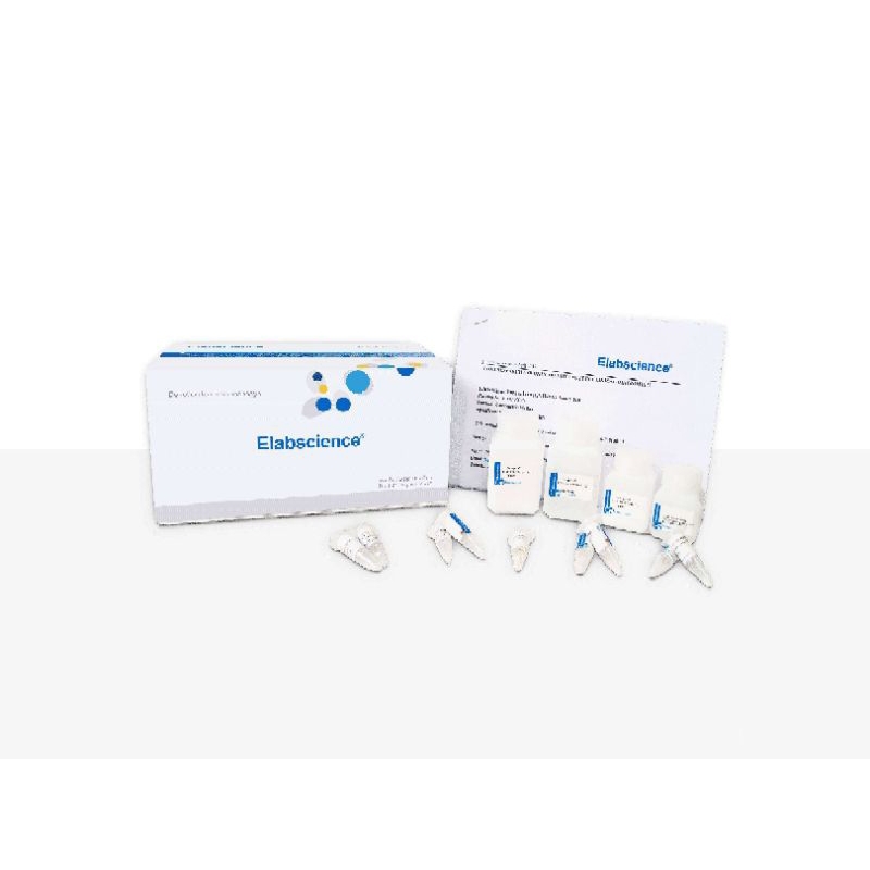 Jual Glutathione Reductase (GR) Activity Assay Kit