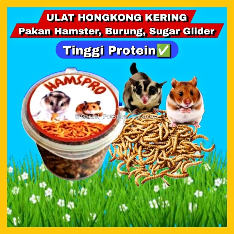 Jual Gpss Ulat Hongkong Kering High Protein Snack Hamster Burung Sugar