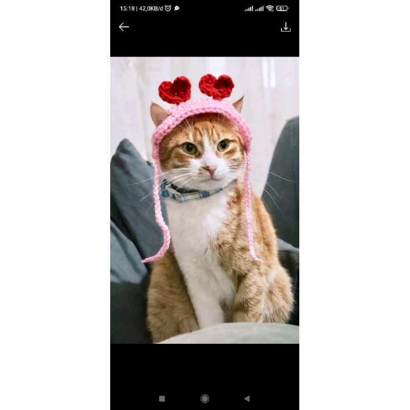 Jual topi kucing rajut bisa request bentuk ataupun warna | Shopee Indonesia