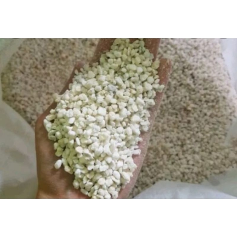 Jual media perlite 250 gram untuk media tanam | Shopee Indonesia