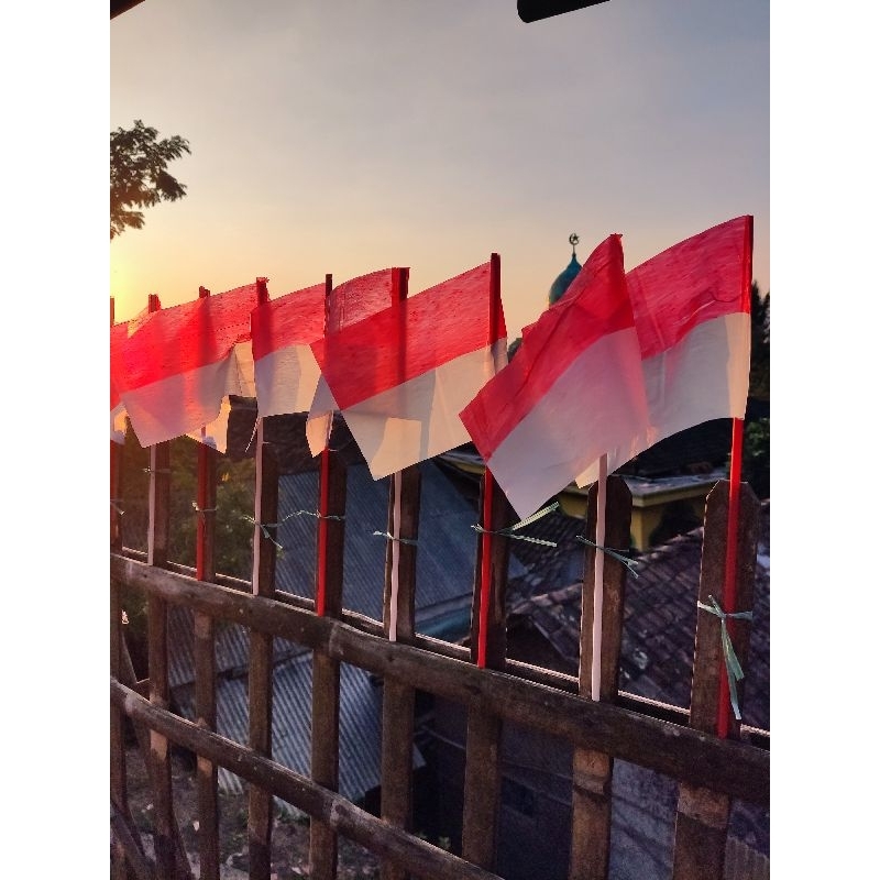 Jual Pcs Bendera Stick Bendera Merah Putih Plastik Bendera Gagang Bendera Tiang Stick Shopee