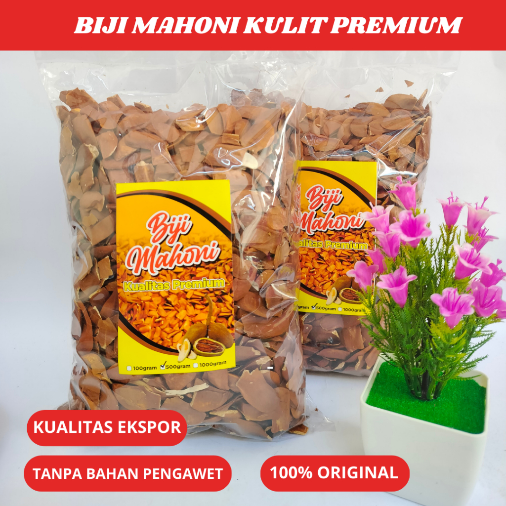 BIJI MAHONI KULIT KERING
