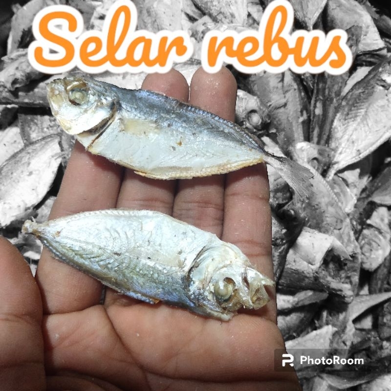 Jual Ikan Asin Selar Rebus Kg Shopee Indonesia