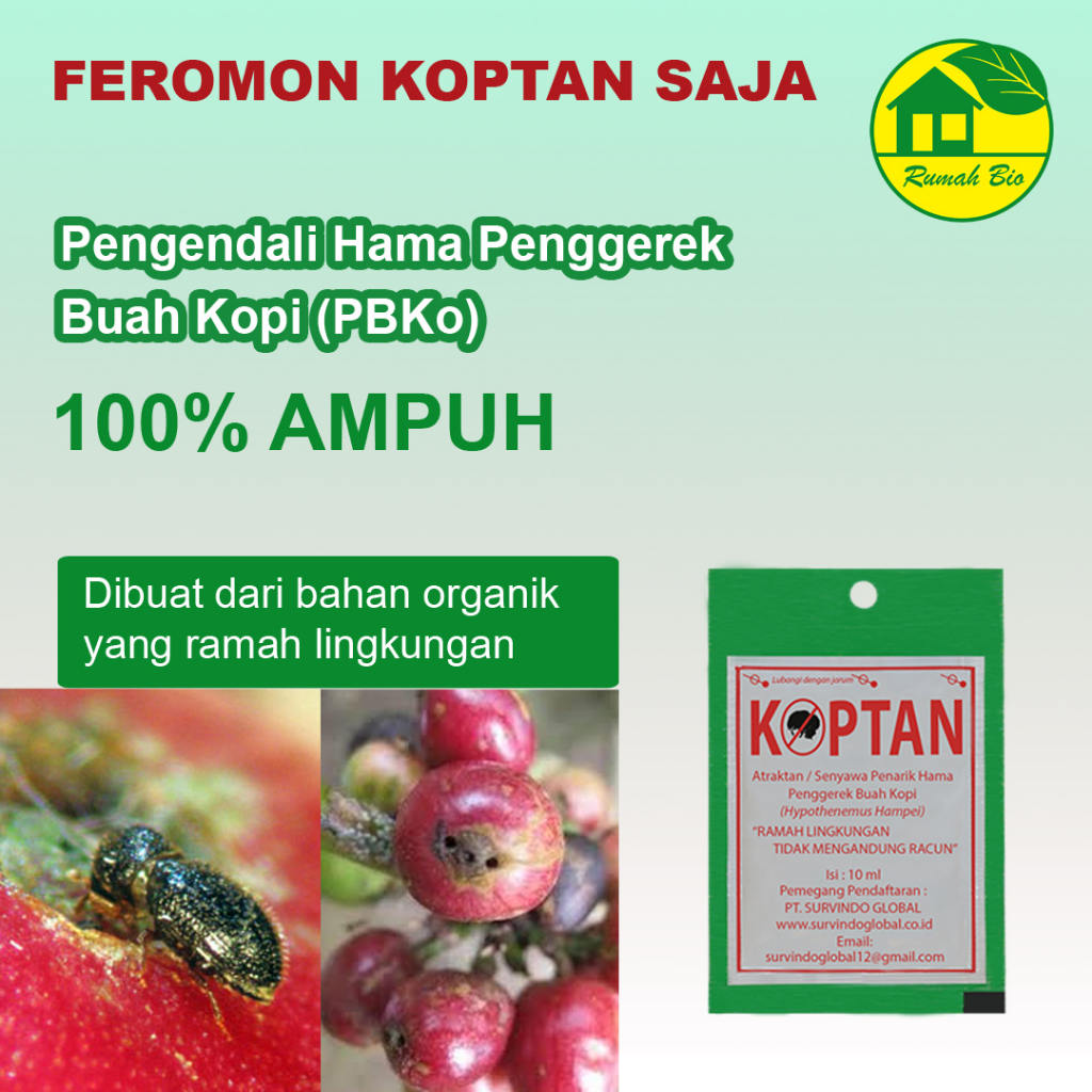 Jual Atraktan Koptan Pengendali Hama Penggerek Buah Kopi Shopee Indonesia