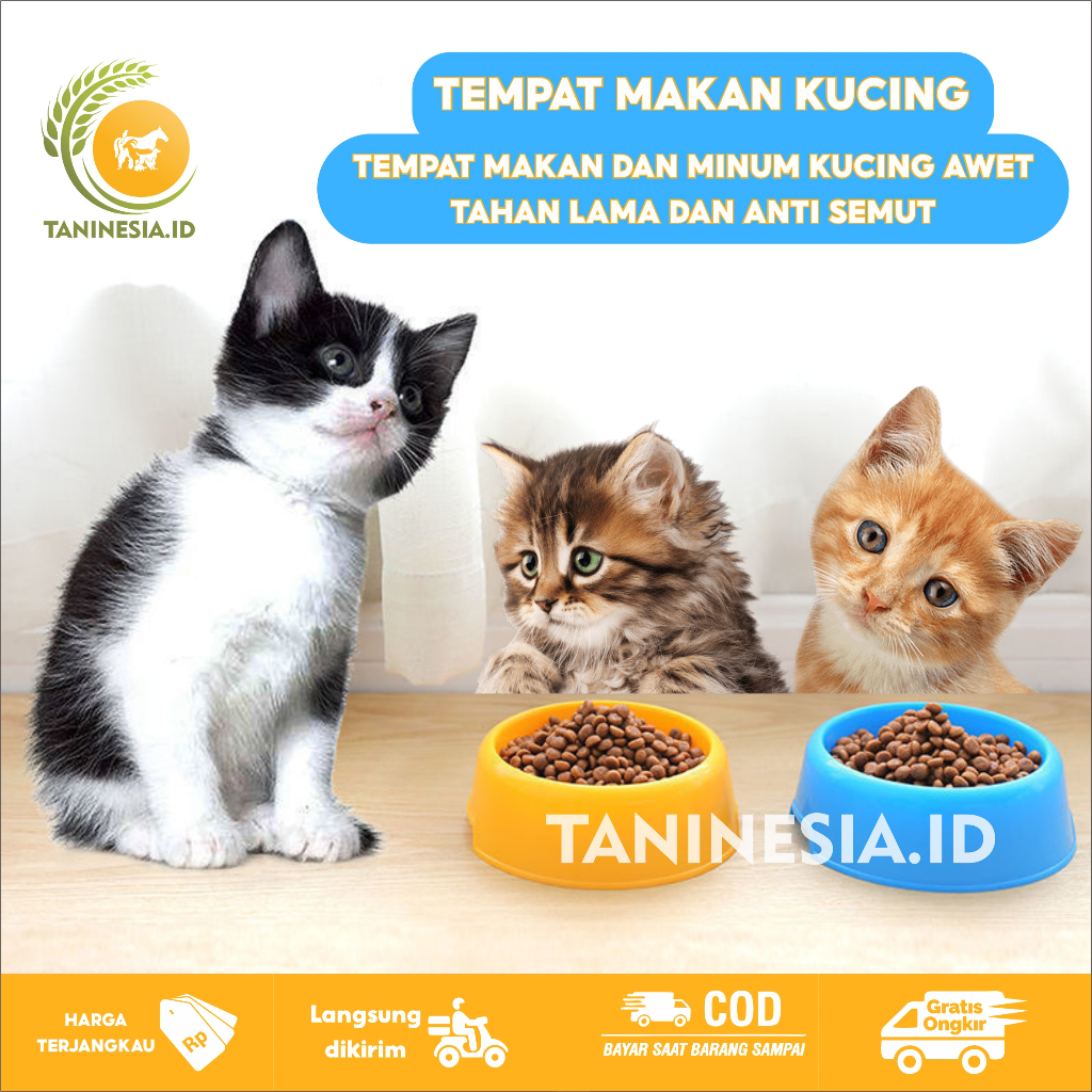 Jual TEMPAT MAKAN KUCING WADAH MINUM KUCING MANGKUK MANGKOK FEEDER ...