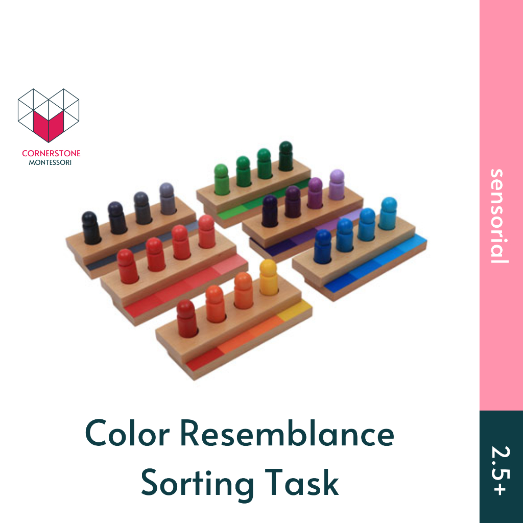 Jual Cornerstone Montessori Color Sorting Task - Montessori Sensorial ...