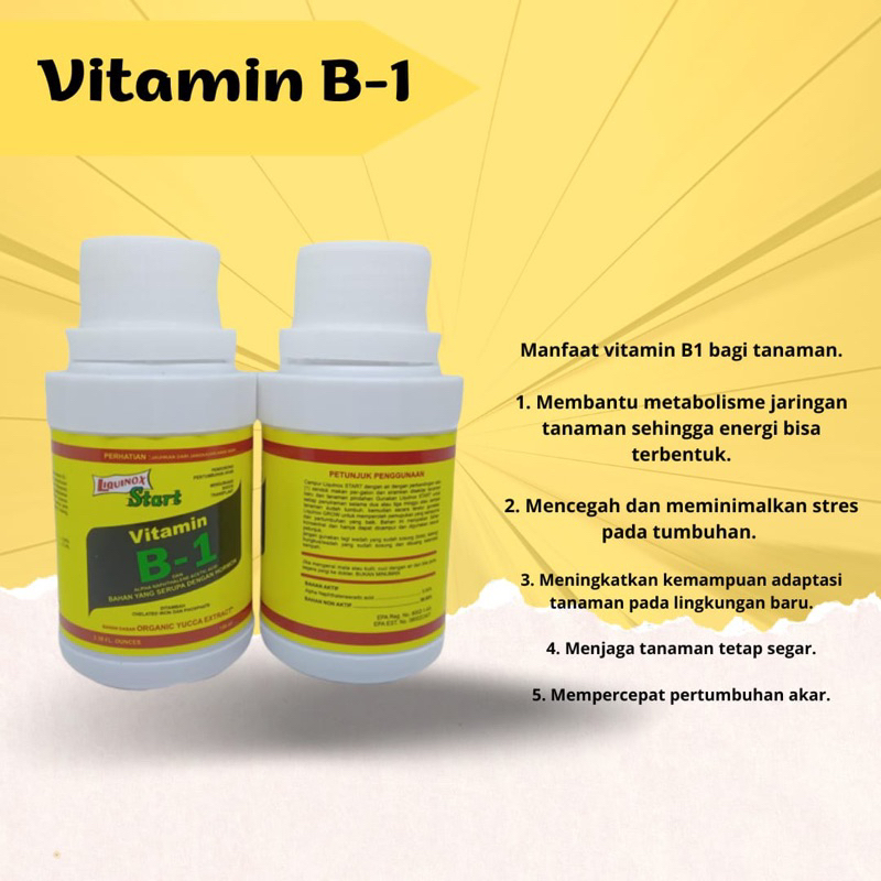 Jual Vitamin B1 Tanaman 100 ML Liquinox Start Anti Stres Tanaman ...