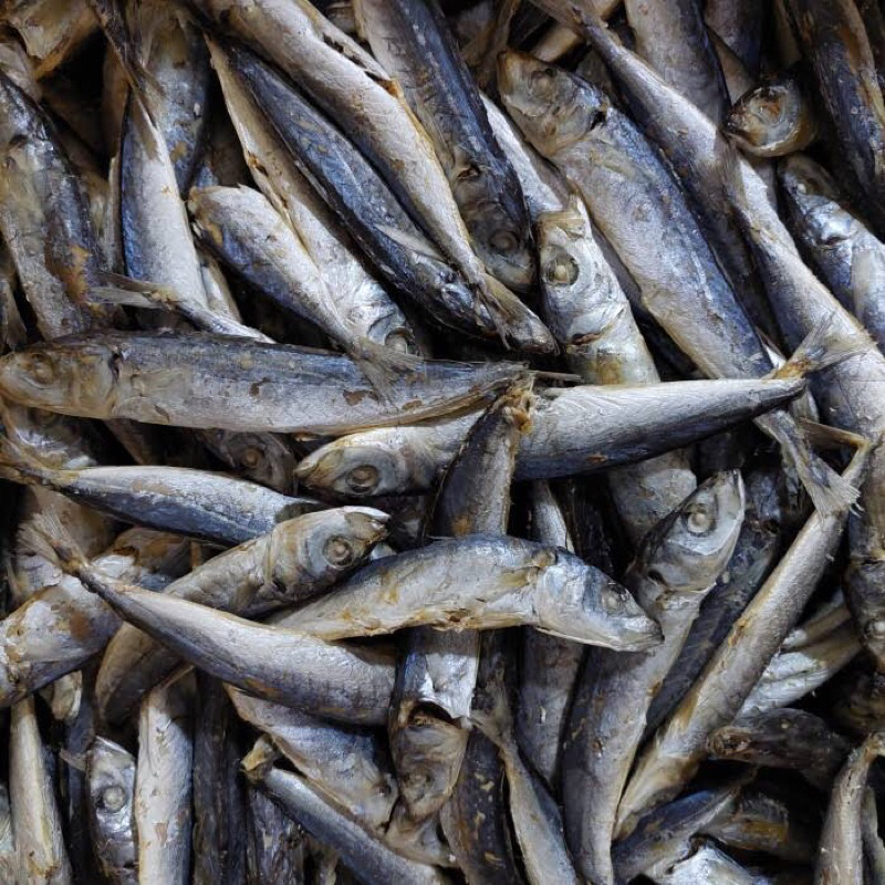 Jual Ikan Asin Pedo Japuh 1 Kg Grosir Termurah | Shopee Indonesia