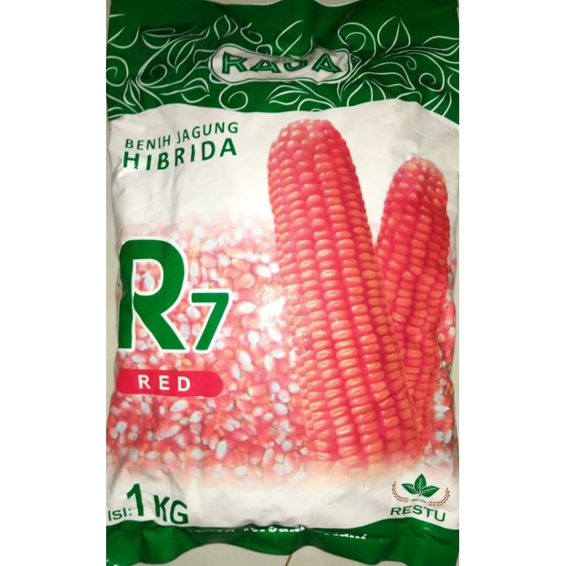 Jual BENIH JAGUNG RAJA R7 RED 1 KG | Shopee Indonesia