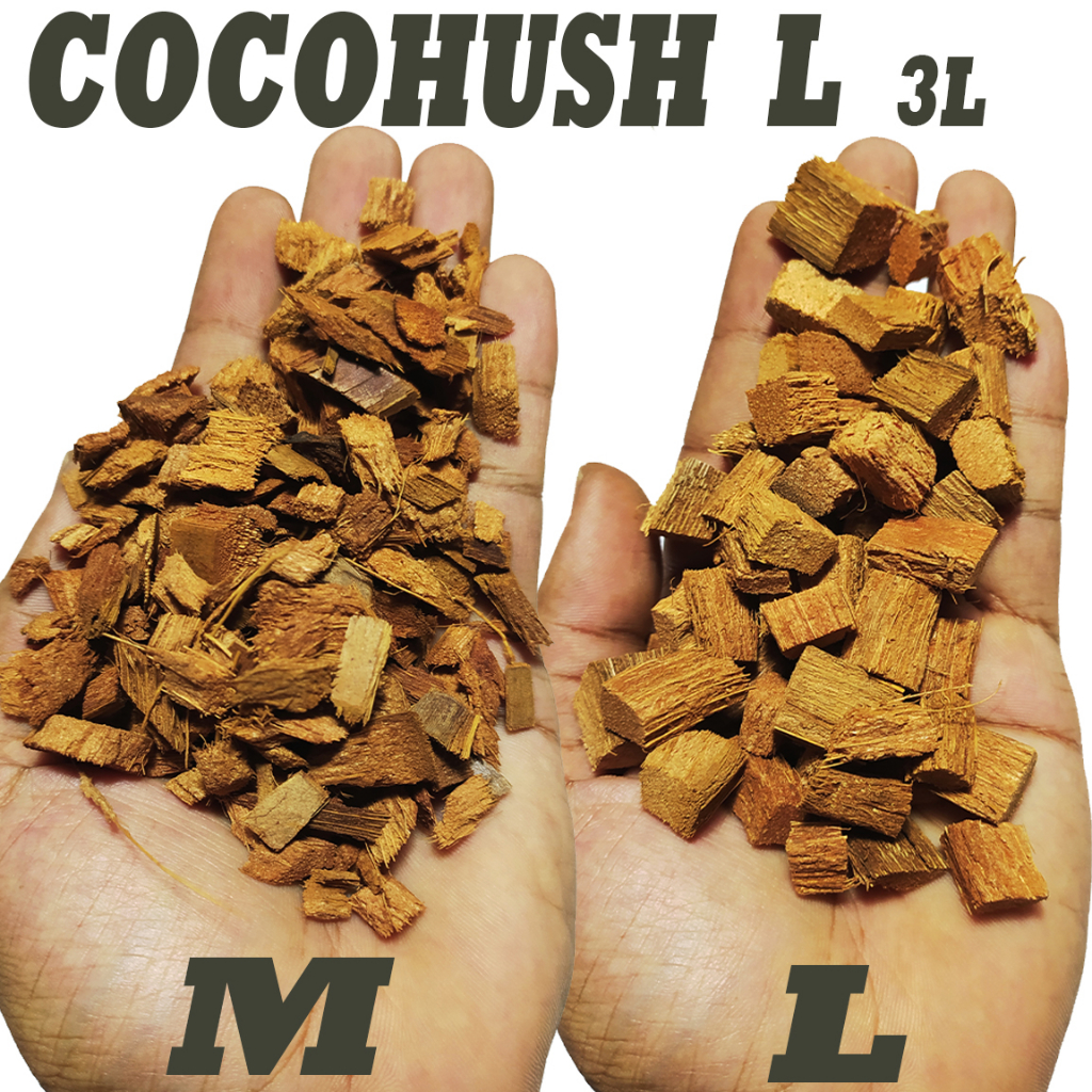 Jual Coco husk cocohusk substrate reptile alas reptil kandang kura kura ...