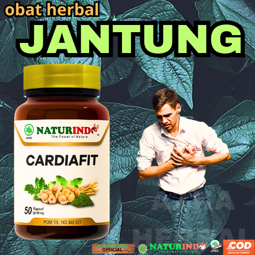 Jual Obat herbal jantung coroner kardiomiopati kardiofaskular aritmia