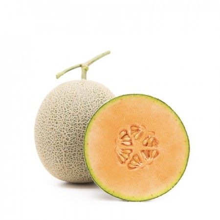 Jual Benih melon RZ 34-905 Fujisawa F1 - 100 benih / seed kemasan