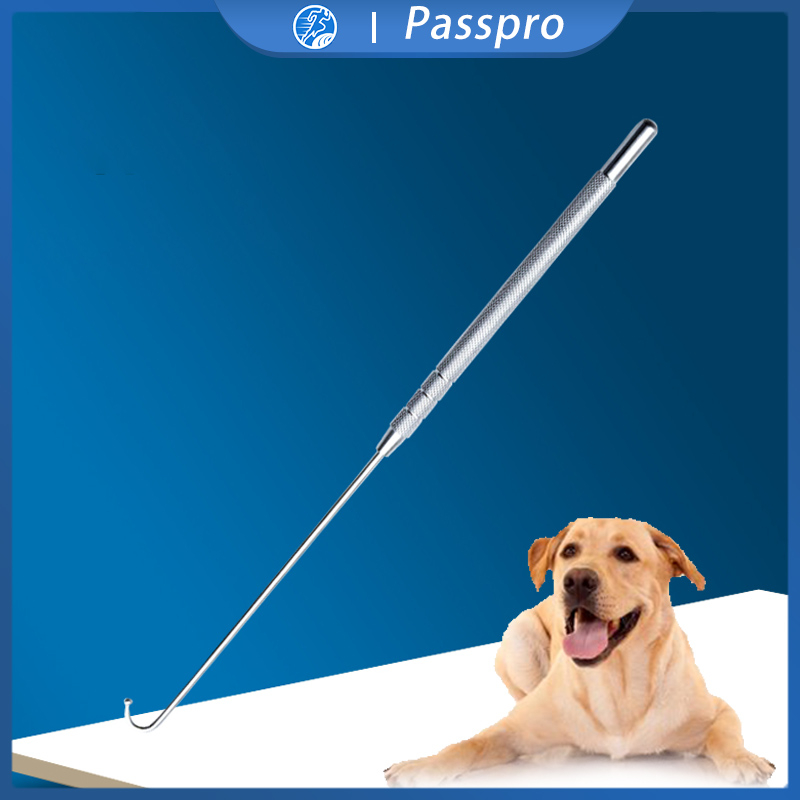 Jual Spay Hook Spayhook Veterinary Instruments Ovarihisterektomi ...