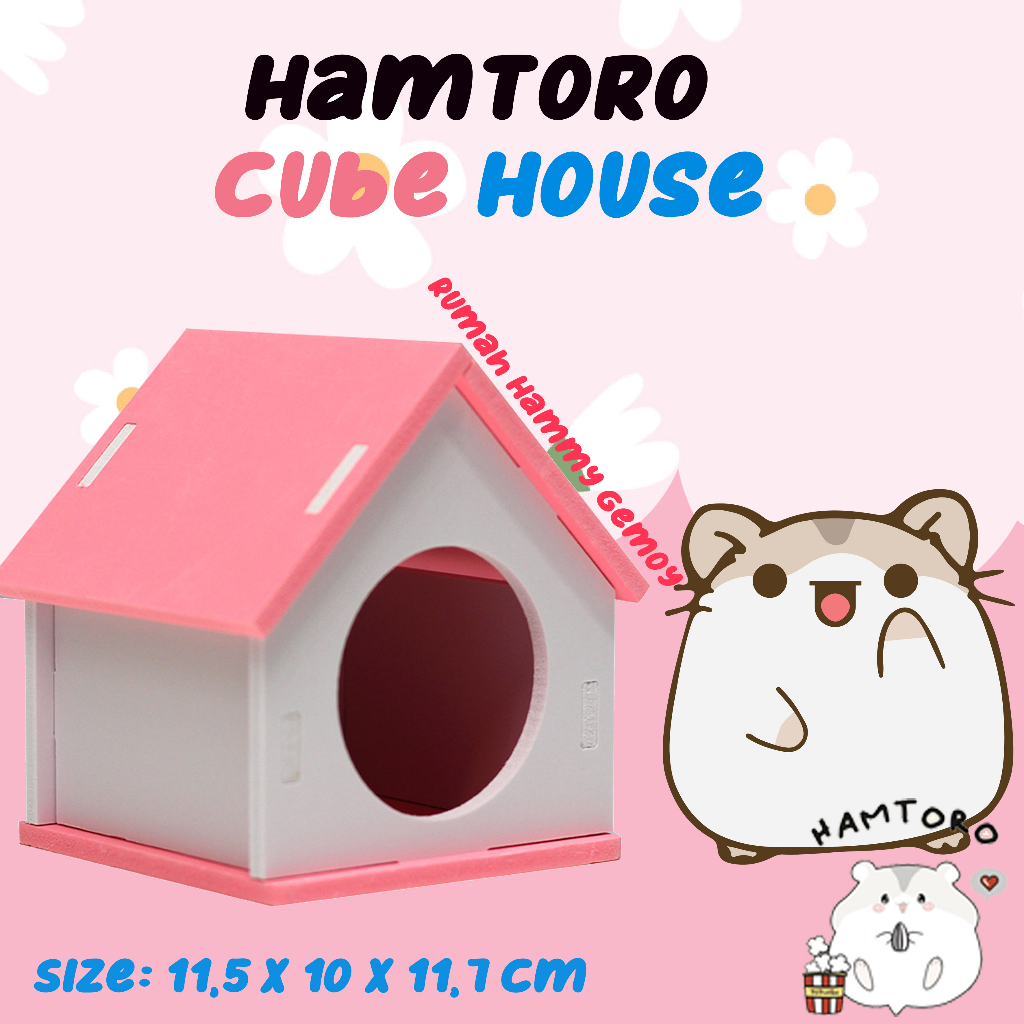 Jual Hamtoro Rainbow Cube House Mainan Rumah Hamster Kotak | Shopee ...