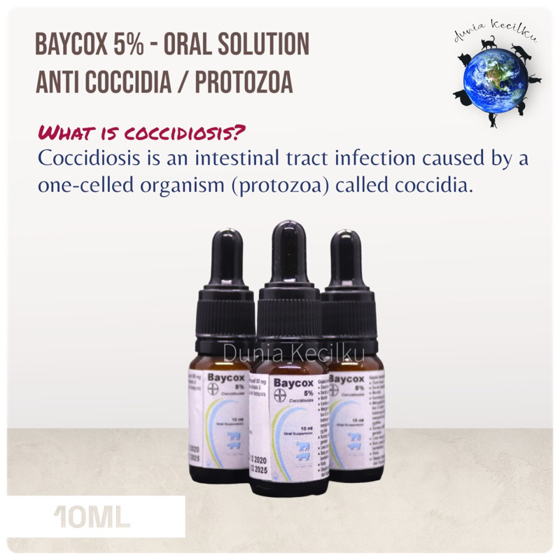 Jual Baycox 5 Oral Solution Anti Coccidiosis / Protozoa / Infeksi Pencernaan / Intestinal 10