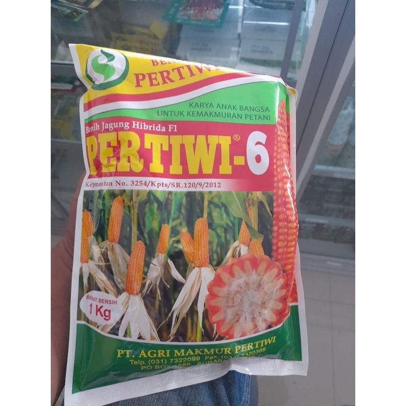 Jual Benih Jagung Hibrida F1 Pertiwi 6 Kemasan Pabrik 1 Kg Shopee