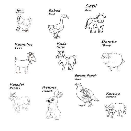 Jual Series Hewan Ternak (Level Easy) - Mewarnai Gambar untuk Anak TK