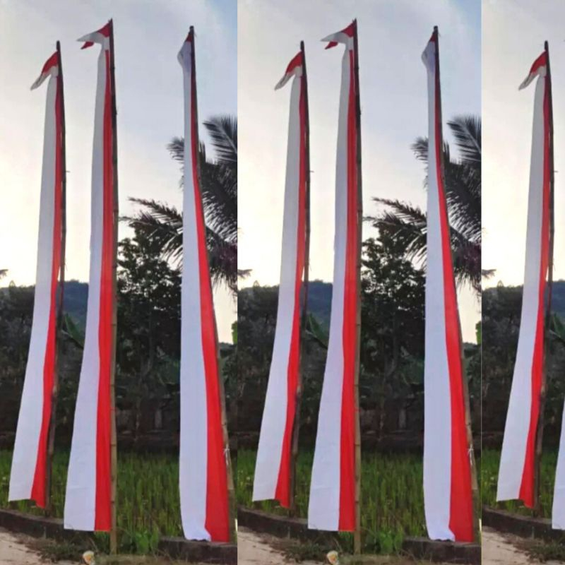 Jual Pusat Bendera Layur Merah Putih Umbul Umbul Indonesia Merdeka Cm Shopee Indonesia
